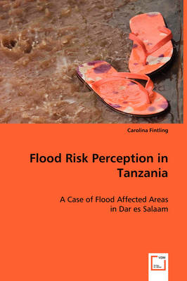 Flood Risk Perception in Tanzania (Paperback)