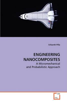 Engineering Nanocomposites (Paperback)