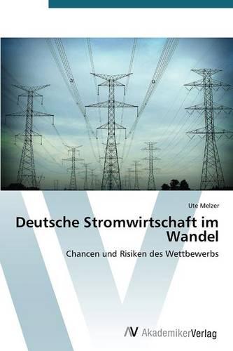 Deutsche Stromwirtschaft Im Wandel (Paperback)