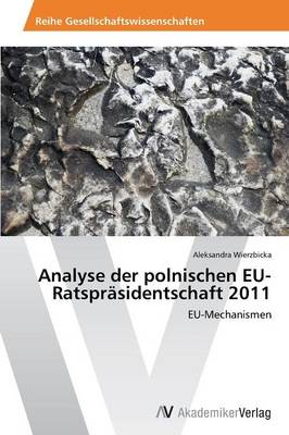 Analyse Der Polnischen Eu-Ratsprasidentschaft 2011 (Paperback)