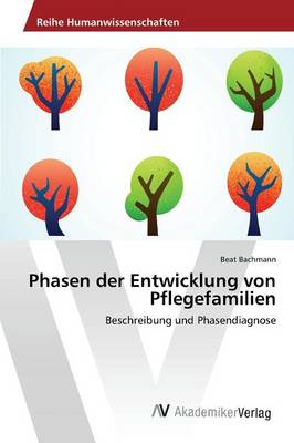 Phasen der Entwicklung von Pflegefamilien (Paperback)