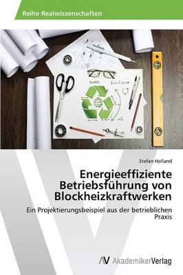 Energieeffiziente Betriebsfuhrung Von Blockheizkraftwerken (Paperback)