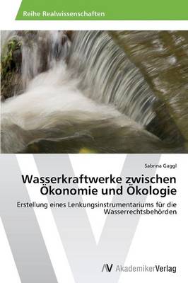 Wasserkraftwerke Zwischen Okonomie Und Okologie (Paperback)