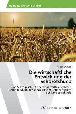 Die Wirtschaftliche Entwicklung Der Schoretshueb (Paperback)