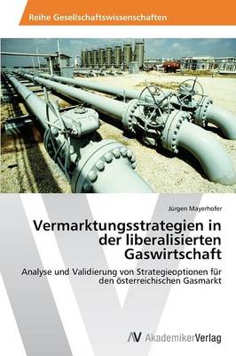 Vermarktungsstrategien in Der Liberalisierten Gaswirtschaft (Paperback)