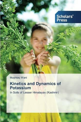 Kinetics and Dynamics of Potassium (Paperback)