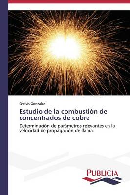 Estudio de La Combustion de Concentrados de Cobre (Paperback)