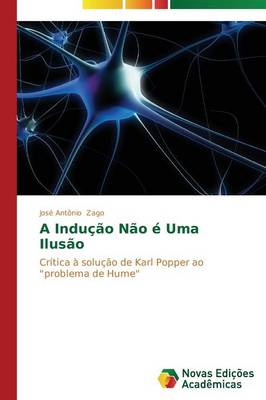 A Inducao Nao E Uma Ilusao (Paperback)