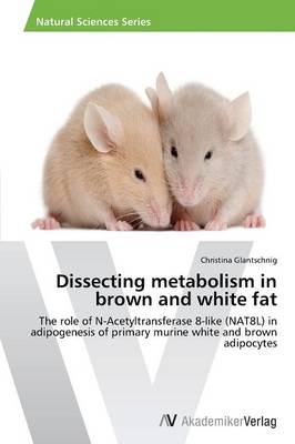 Dissecting Metabolism in Brown and White Fat (Paperback)