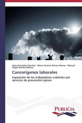 Cancerigenos Laborales (Paperback)