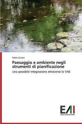 Paesaggio E Ambiente Negli Strumenti Di Pianificazione (Paperback)