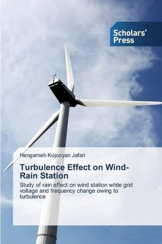 Turbulence Effect on Wind-Rain Station (Paperback)