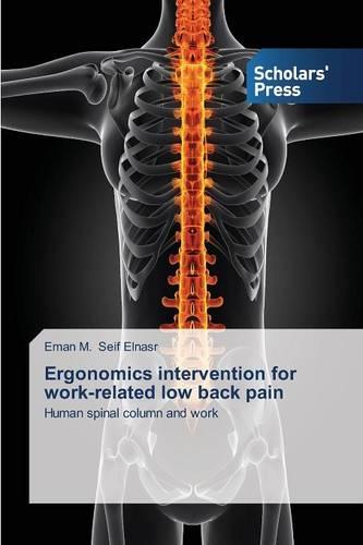 Ergonomics Intervention for Work-Related Low Back Pain (Paperback)