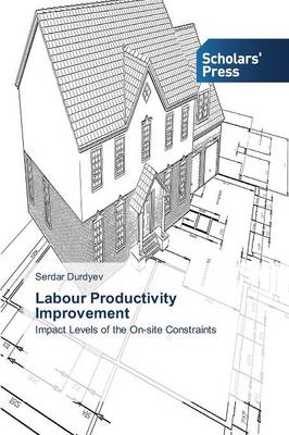 Labour Productivity Improvement (Paperback)