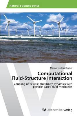 Computational Fluid-Structure Interaction (Paperback)