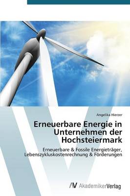 Erneuerbare Energie in Unternehmen Der Hochsteiermark (Paperback)