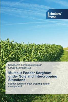 Multicut Fodder Sorghum Under Sole and Intercropping Situations (Paperback)