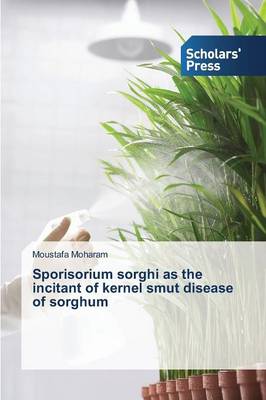 Sporisorium Sorghi as the Incitant of Kernel Smut Disease of Sorghum (Paperback)