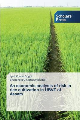 An Economic Analysis of Risk in Rice Cultivation in Ubvz of Assam (Paperback)