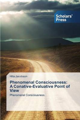 Phenomenal Consciousness: A Conative-Evaluative Point of View (Paperback)