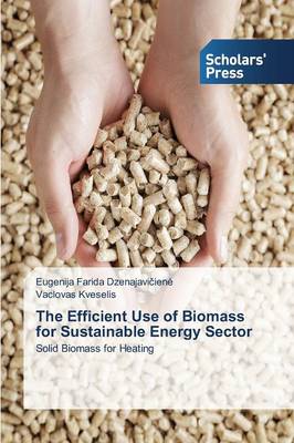 The Efficient Use of Biomass for Sustainable Energy Sector (Paperback)
