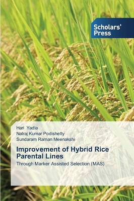 Improvement of Hybrid Rice Parental Lines (Paperback)