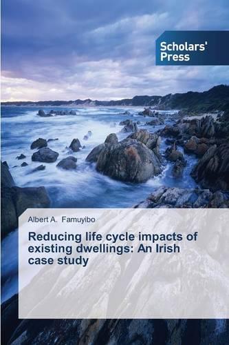 Reducing Life Cycle Impacts of Existing Dwellings: An Irish Case Study (Paperback)