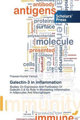 Galectin-3 in Inflammation (Paperback)