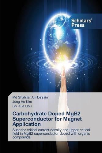 Carbohydrate Doped Mgb2 Superconductor for Magnet Application (Paperback)