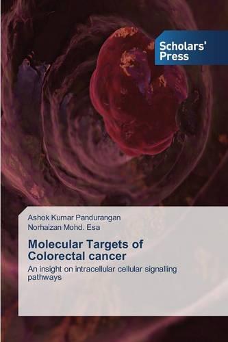 Molecular Targets of Colorectal Cancer (Paperback)