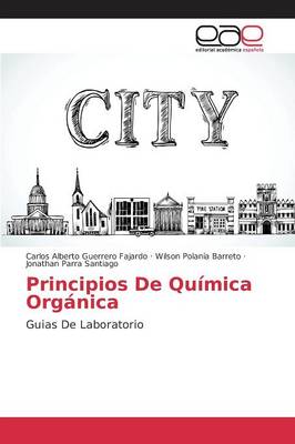 Principios de Quimica Organica (Paperback)