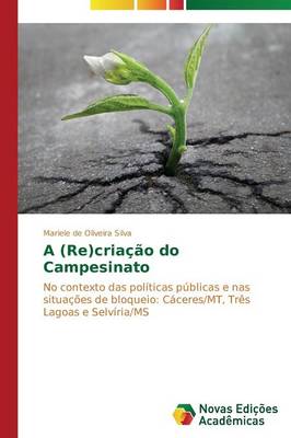 A (Re)Criacao Do Campesinato (Paperback)