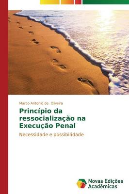 Principio Da Ressocializacao Na Execucao Penal (Paperback)