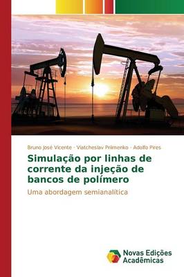 Simulacao Por Linhas de Corrente Da Injecao de Bancos de Polimero (Paperback)