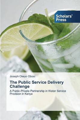 The Public Service Delivery Challenge (Paperback)