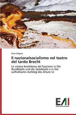 Il Nazionalsocialismo Nel Teatro del Tardo Brecht (Paperback)