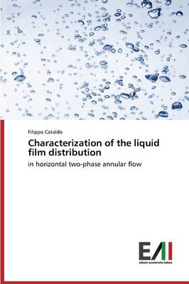 Characterization of the Liquid Film Distribution (Paperback)