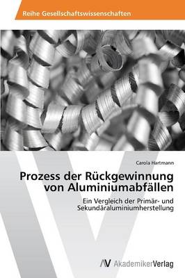 Prozess Der Ruckgewinnung Von Aluminiumabfallen (Paperback)
