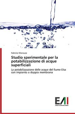 Studio Sperimentale Per La Potabilizzazione Di Acque Superficiali (Paperback)
