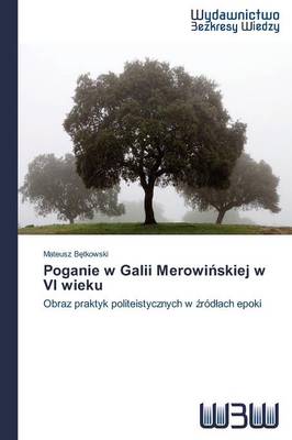 Poganie W Galii Merowi Skiej W VI Wieku (Paperback)