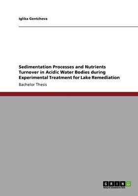 Sedimentation Processes and Nutrients Turnover in Acidic Water Bodies During Experimental Treatment for Lake Remediation (Paperback)
