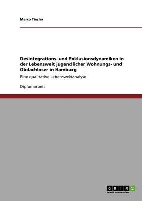 Desintegrations- Und Exklusionsdynamiken in Der Lebenswelt Jugendlicher Wohnungs- Und Obdachloser in Hamburg (Paperback)