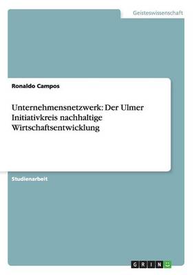 Unternehmensnetzwerk: Der Ulmer Initiativkreis Nachhaltige Wirtschaftsentwicklung (Paperback)