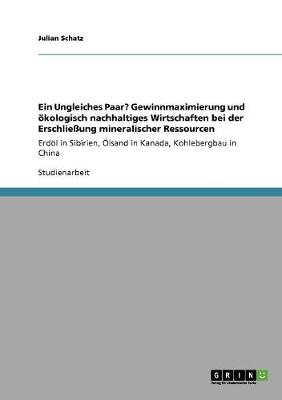 Ein Ungleiches Paar? Gewinnmaximierung Und Okologisch Nachhaltiges Wirtschaften Bei Der Erschlieung Mineralischer Ressourcen (Paperback)