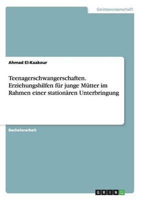 Teenagerschwangerschaften. Erziehungshilfen Fur Junge Mutter Im Rahmen Einer Stationaren Unterbringung (Paperback)