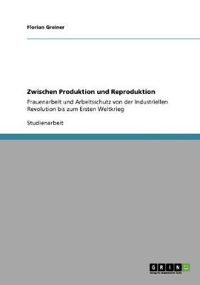 Zwischen Produktion Und Reproduktion (Paperback)