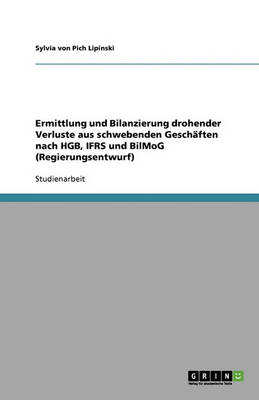Ermittlung Und Bilanzierung Drohender Verluste Aus Schwebenden Geschaften Nach Hgb, Ifrs Und Bilmog (Regierungsentwurf) (Paperback)