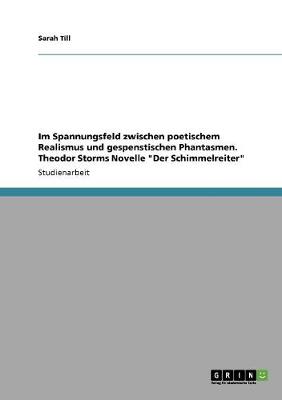 Im Spannungsfeld Zwischen Poetischem Realismus Und Gespenstischen Phantasmen. Theodor Storms Novelle Der Schimmelreiter (Paperback)