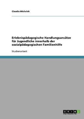 Erlebnispadagogische Handlungsansatze Fur Jugendliche Innerhalb Der Sozialpadagogischen Familienhilfe (Paperback)