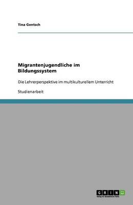 Migrantenjugendliche Im Bildungssystem (Paperback)